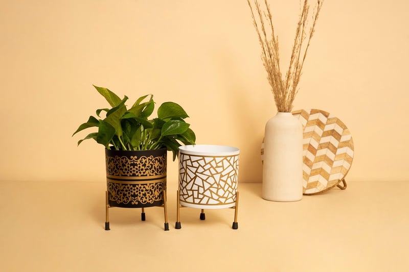 Planter Boxes